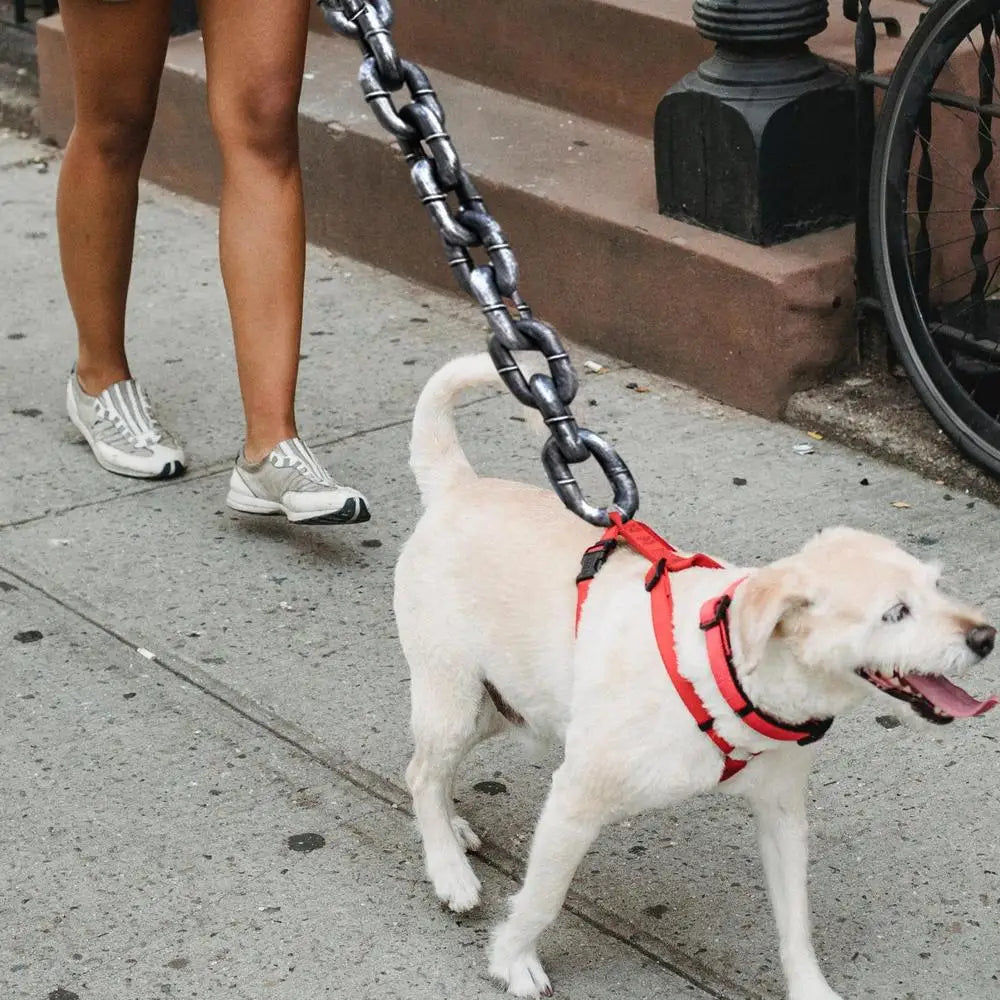 the Monster Leash™