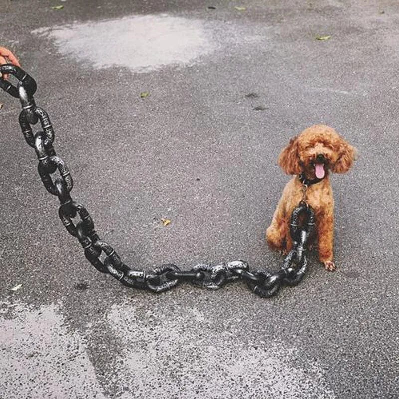 the Monster Leash™